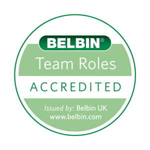 belbin team role theory limitations